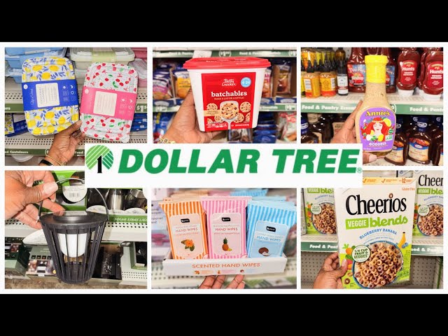 DOLLAR TREE | DOLLAR TREE NEW FINDS 