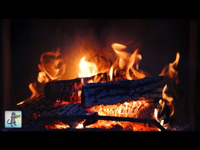 12 Hour Cozy Fireplace 4K 🔥 Crackling Fire Sounds for Sleep, Study, Relaxation (No Music)