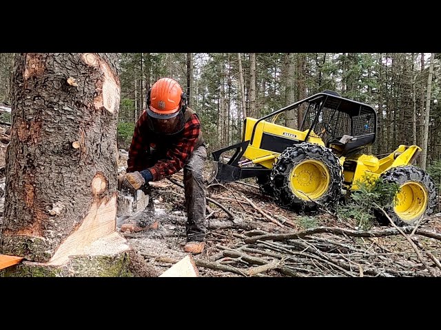 Logging Spruce and Fir | Maine | Cable Skidder
