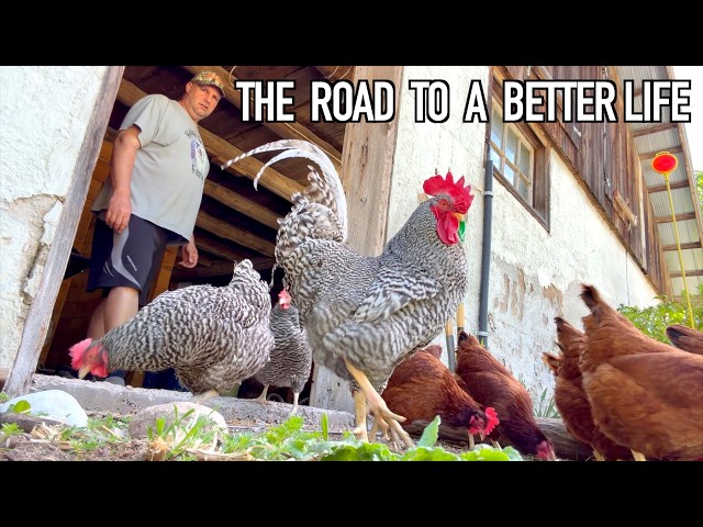 A Few Bumps in the Road Building Our Farm