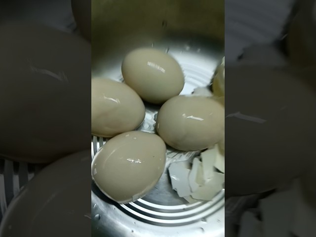 😭🙄இப்படி இருக்கு😔#shorts#trending#malar#tamil#life#lifestyle#food#cooking#recipe#home#minivlog#vlog