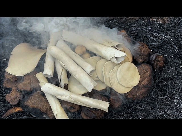 Roasting multani items entertainment vlogs