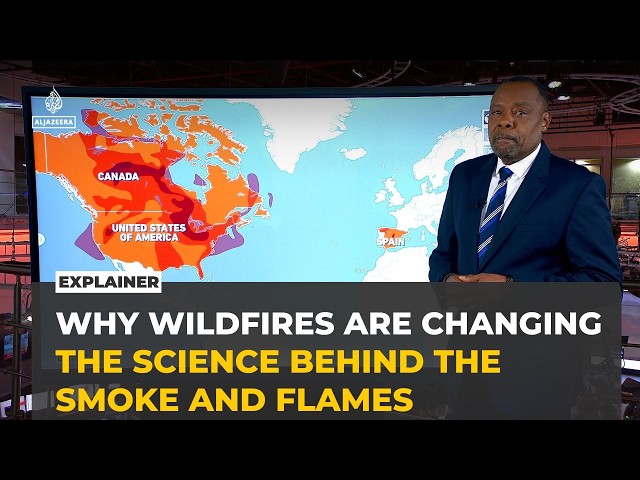 Explainer: Why wildfires in Canada and Spain behave so differently