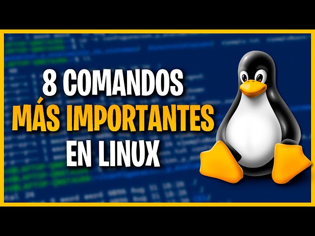 Los 8 Comandos MÁS IMPORTANTES de LINUX que Debes Conocer