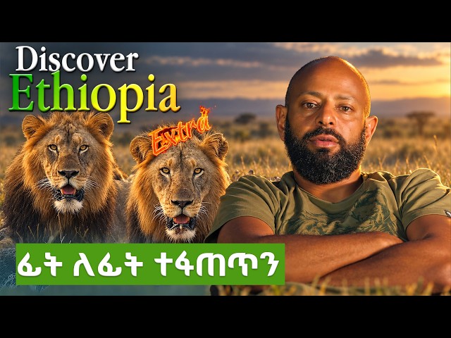 "በህይወት እና በሞት መካከል...ከአንበሳው ጋር ፊት ለፊት ተገጣጠምን🦁😱 አልፈራንም!" ኢትዮጵያን እንወቅ ኤክስትራ /Discover Ethiopia Extra/