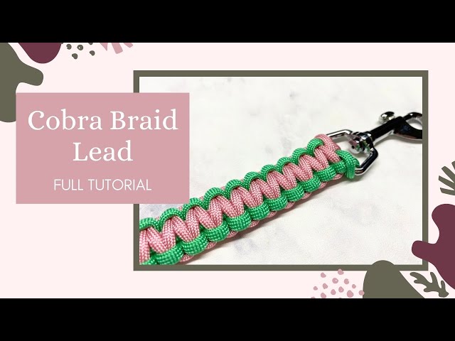 Cobra Braid Dog Lead | Full Tutorial | January Braid of the Month
