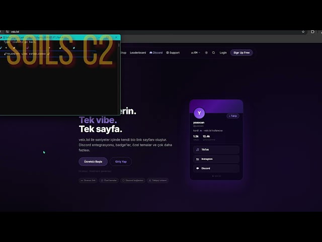 S O İ L S C2 BEST BOTNET VS WEBSITE | STRONG AND CHEAP C2 & BOTNET 2026 | BEST ON MARKET!