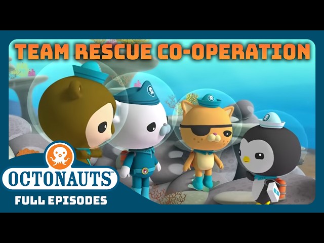​@Octonauts - ⛑️ Team Rescue Co-operation 🛟  | 60 Mins+ Full Episodes Marathon