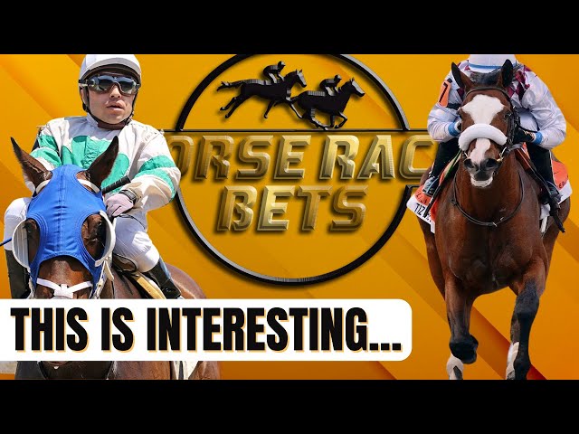 G-2 Remsen, G-2 Cigar Mile & G-2 Comely Stakes Picks... | Daily Horse Race Bets