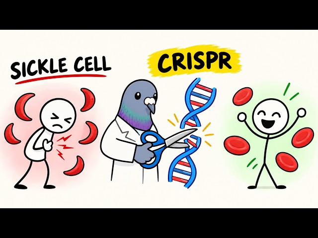 They Edited Human DNA to Stop Sickle Cell Disease