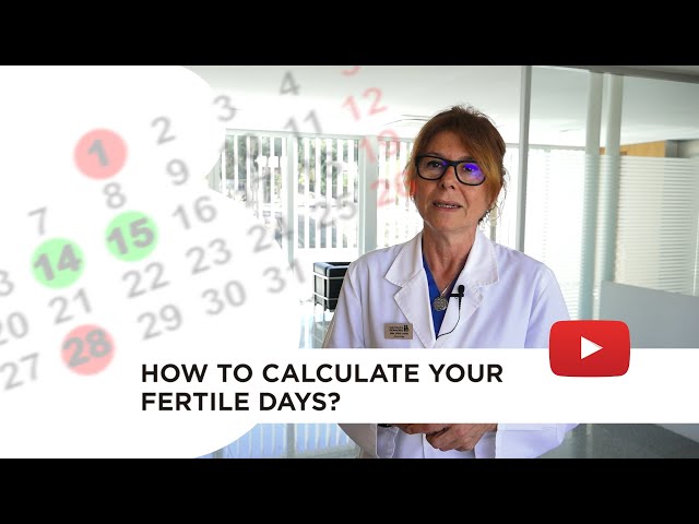 Calculating ovulation: the optimum time for getting pregnant