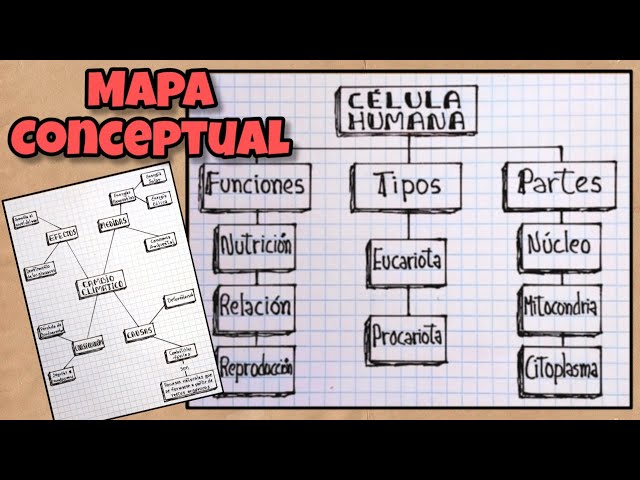 How to Make a Concept Map in 5 Steps