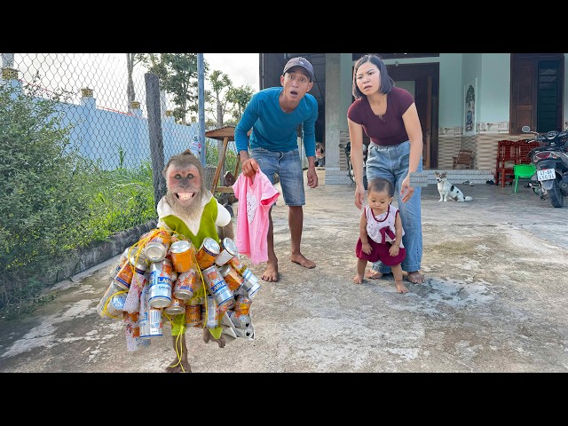 Baby monkey CUTIS tears baby Yen Nhu’s Shirt… What does next surprises Mom & Dad 😲🐒