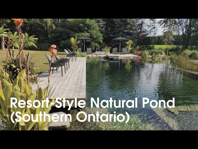 Rustige natuur - Een natuurlijke zwemvijver in resortstijl in Zuid-Ontario