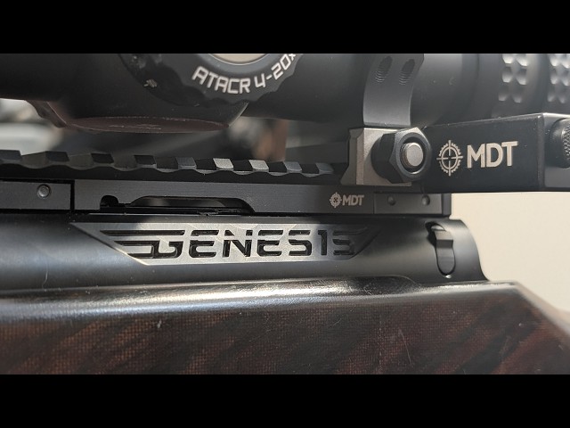 NEW Genes1s/Genesis 22LR Custom Action from DPG: Features and First Impressions @EagleEyeShooting
