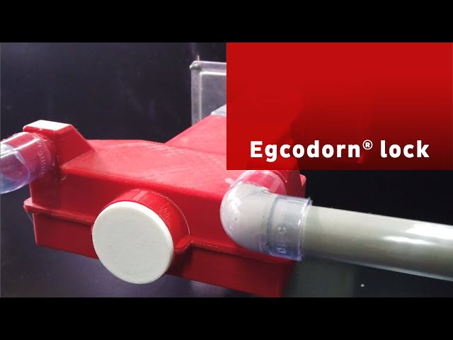 Egcodorn® Lock – The Smart Solution for Temporary Movement Joints