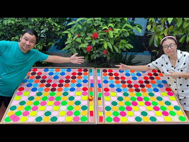 Puzzle sorting ball game challenging game hard mode