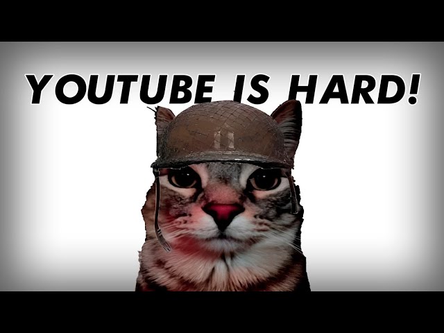 If you see this video, the youtube algorithm is sh*t