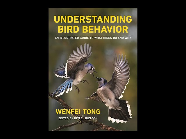 Understanding Bird Behavior: A Guide to What Birds Do & Why (Science on Tap Livestream show)