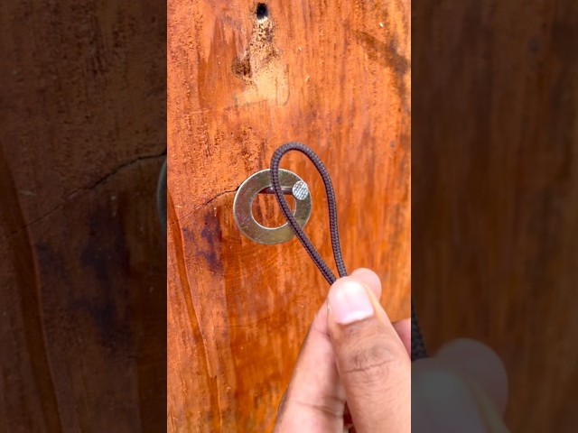 Crazy Strong Rope Knot Technique! #shorts #knotting #ropeknot #lifehacks