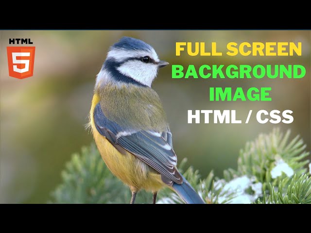 How to add background image in Html | No repeat | Full Screen
