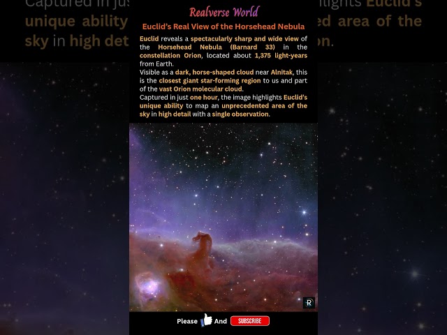 Euclid Reveals the Horsehead Nebula in Stunning Detail (Real Space Image)  #space #universe