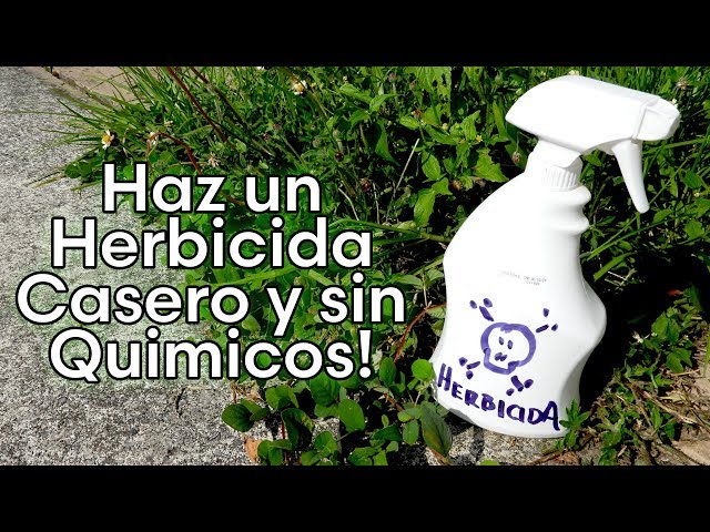 How to Make a Homemade Herbicide Without Chemicals