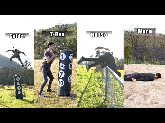 Jiemba Sands Ultimate Funny Animal Impressions Compilation