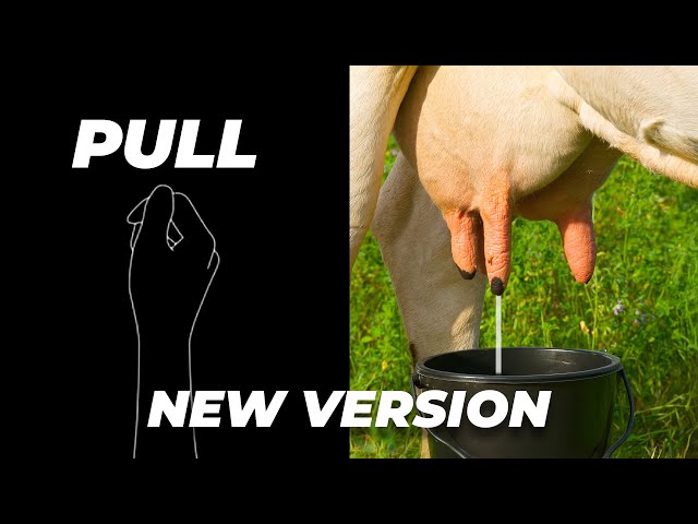 没入型インタラクティブウォームアップ | オリジナルバイラルリズムチャレンジ - ビートを逃さないようにしましょう