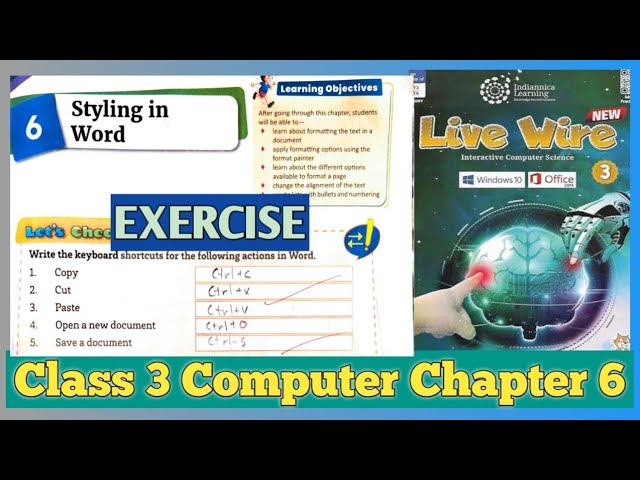Solution - STYLING IN WORD | Chapter 6 | Class 3 Computer