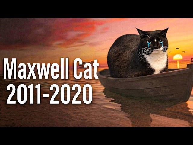 Goodbye Forever, Maxwell Cat  / We Will Never Forget You...