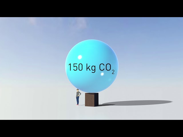 Visualisation of carbon sequestration in temperate peatlands