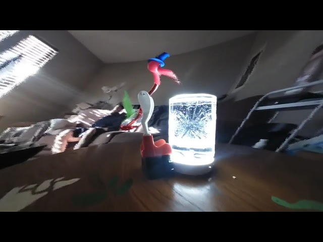 3D180 bird slit scan VR