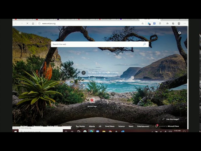 Bitglass Demonstration: Secure Web Gateway