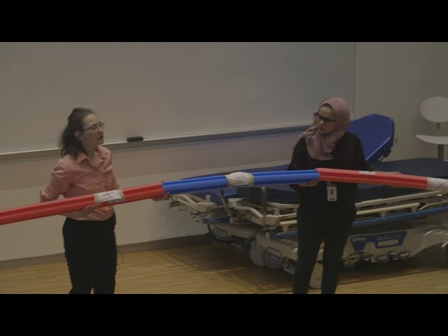 Sarah Sabatinos: Genome stability, how to avoid DNA changes under stress