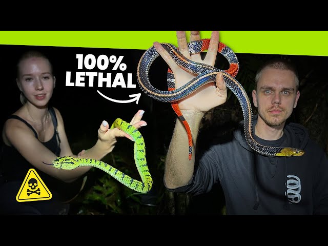 The BEST snakes of my life!