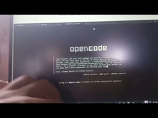 Natasha API Swagger data independent approach (Accion)