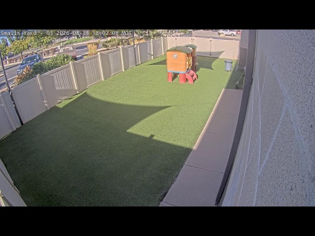 DogMode: Small Dogs Outside