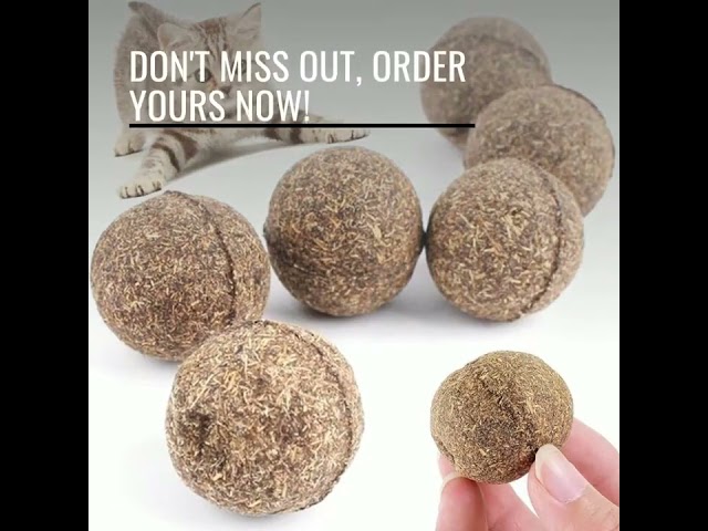 Compressed and Natural Catnip Ball Toys