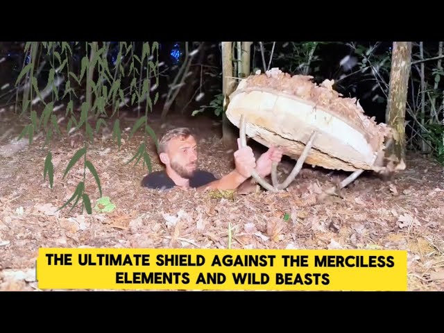 Building the Ultimate Underground Survival Shelter in the Deep Forest