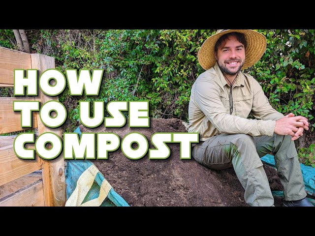 Composting 101: Four Types of Compost to Know & Making Compost Tea