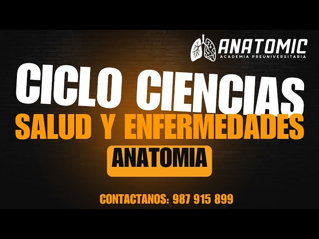 SALUD Y ENFERMDADES | CICLO CIENCIAS