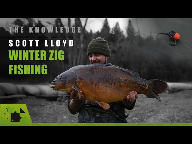 What Is The True Meaning of Winter Fishing? | Scott Lloyd | Winter Zig Fishing for Big Carp