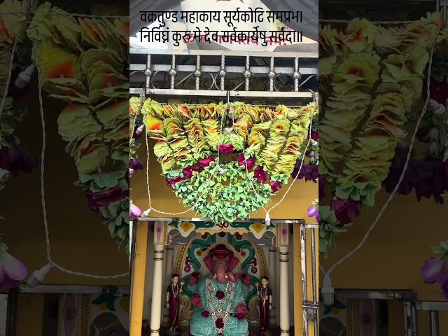 वक्रतुण्ड महाकाय सूर्यकोटि समप्रभ।निर्विघ्नं कुरु मे देव सर्वकार्येषु सर्वदा॥#jayganesh