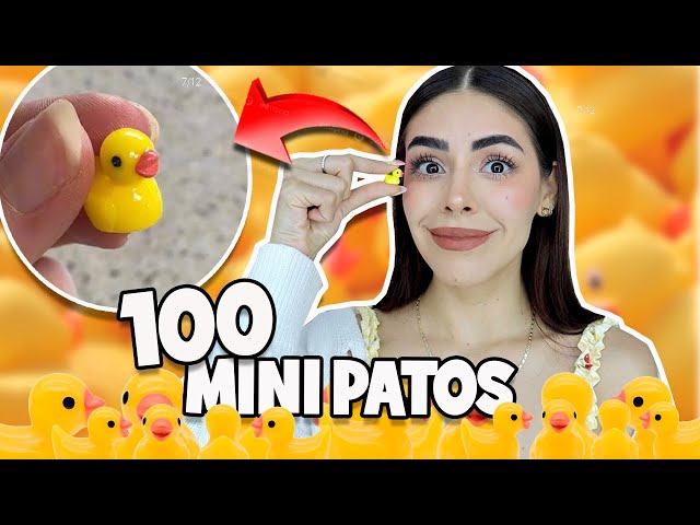 ESCONDÍ 100 MINI PATOS EN TODA LA CASA 🐥 *PREMIO 💸💵*