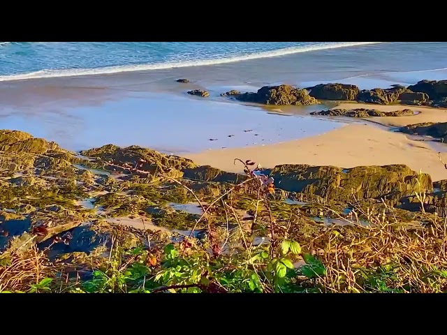 NEVER MISS YOU . By Paris Athenie. From our ClemCorr Studios. Cornwall.