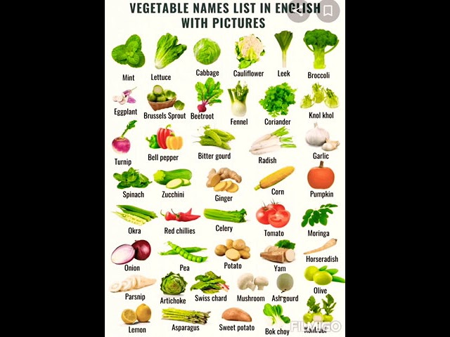 vegetable Name list in English with pictures //sabji  name in english