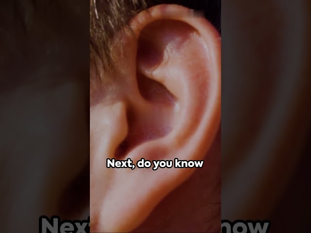 Bite Sized Knowledge