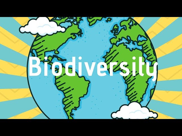 What is Biodiversity?