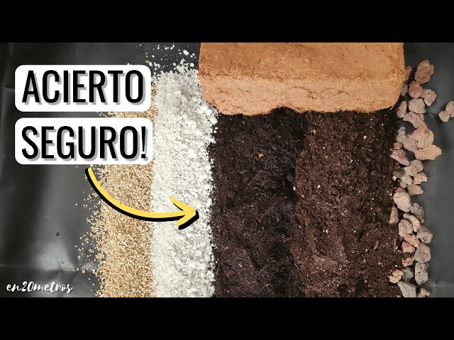 La MEZCLA PERFECTA de TIERRA para MACETAS: sustrato de cultivo, semilleros y plantas || en20metros